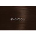 シラガネーゼ ポイントリッチカラー ダークブラウン 20g