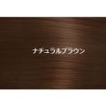 シラガネーゼ ポイントリッチカラー ナチュラルブラウン 20g