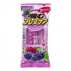 小林製薬 噛むブレスケア ジューシーグレープ 25粒