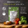 こなゆきコラーゲン（プラントベース）100ｇ※