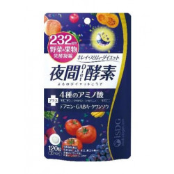 ISDG 医食同源ドットコム 232夜間Diet酵素 120粒