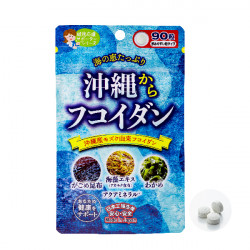 沖縄からフコイダン90粒