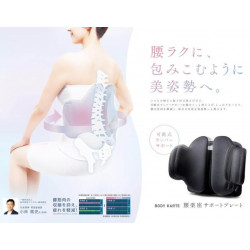 ボディカルテ 腰楽座サポートプレート
