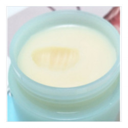 DR PLANT　セッコク蘭クレンジングバーム90g