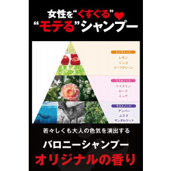 バロニー BARONY マグネットシャンプー240ml