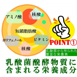 乳酸菌発酵物質 癒友輝 （ゆうき）30包