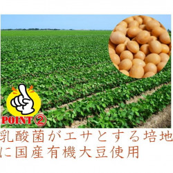 乳酸菌発酵物質 癒友輝 （ゆうき）30包
