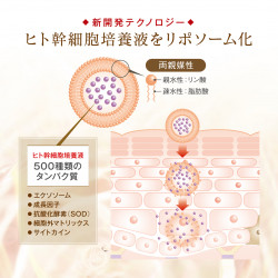 PBS プレミアイノべーションSTMマスクEXヒト幹細胞25ml× 5枚