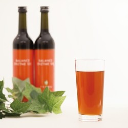 PBS FORMAフォルマ  バランスエンザイム100 [ドリンクタイプ]500ml