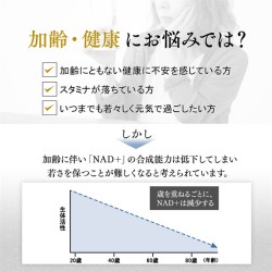 ファイン NMN 健寿 120粒