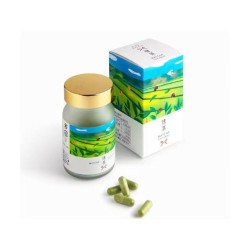 VICELLA 抹茶（MATCHA）サプリメント 60粒※のサムネイル画像2
