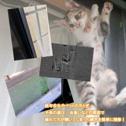 メイダイ　網戸の補修シール　（9枚入）シマエナガのサムネイル画像2