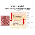 ゴールドプラセンタ　60粒